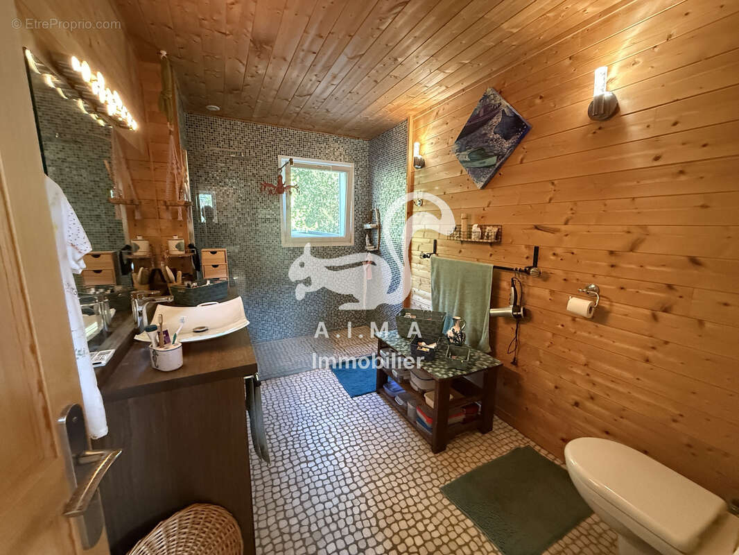Mios, sur 2390m2 de jardin, belle maison 3 ch, beau séjour/cuisine lumineux, sdb, sde, deux wc, terrasses - photo 4