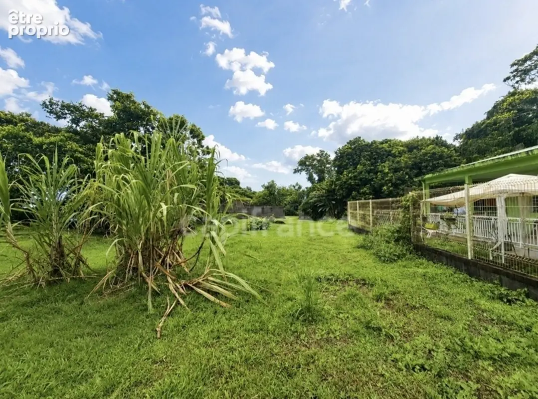 A vendre - Terrain plat de 729 m² – Ajoupa-Bouillon – Secteur Adinet - photo 5