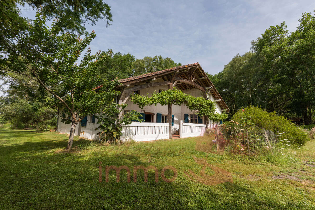 Maison à LE SEN