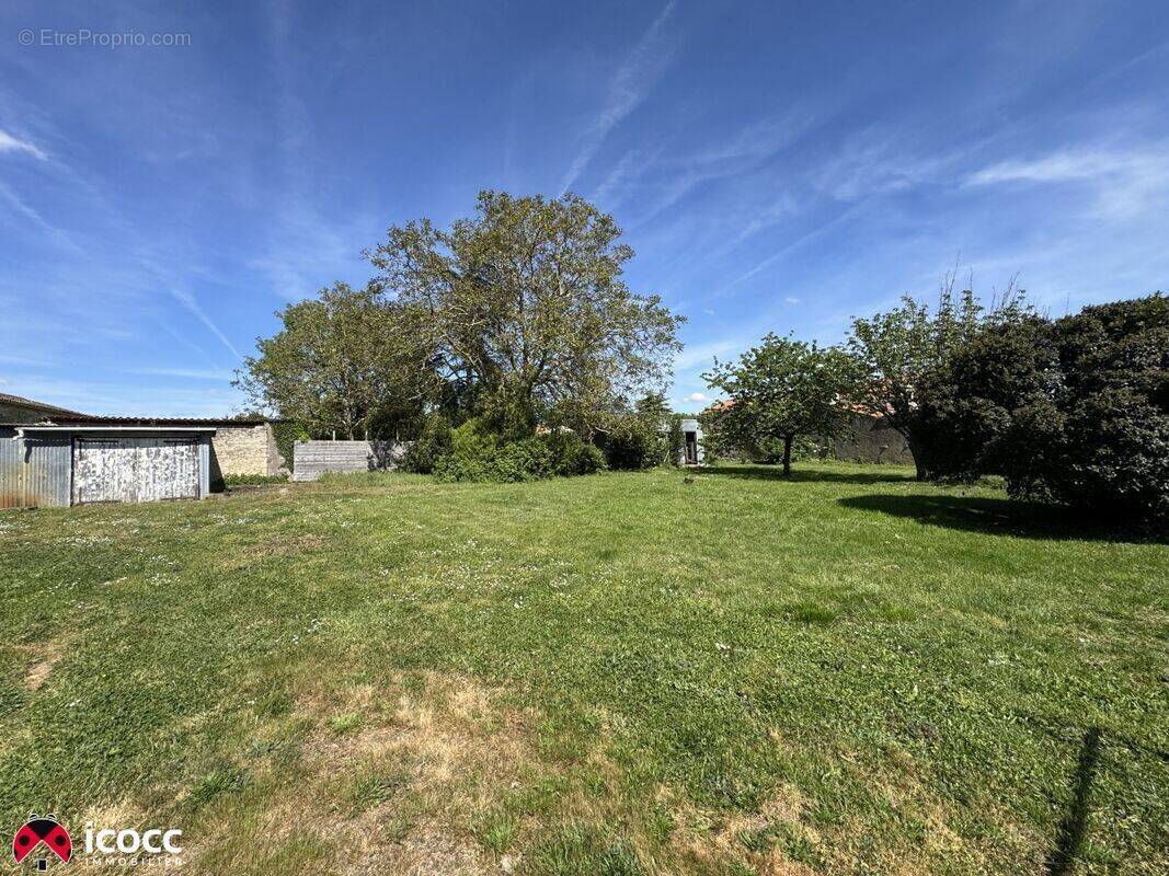 Terrain à LES MAGNILS-REIGNIERS