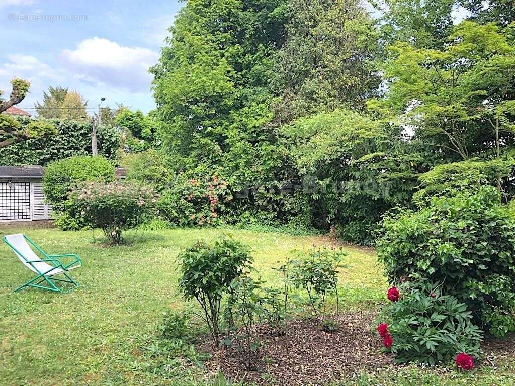 jardin e?te? - Maison à BRUNOY