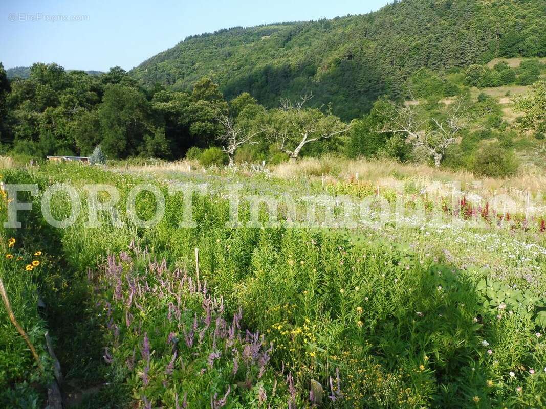 Maison à SAINT-BASILE