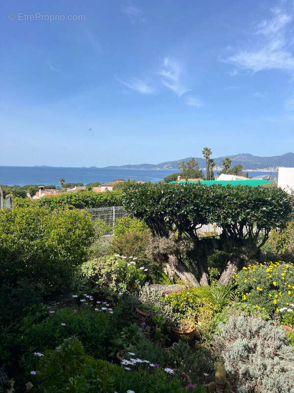 Appartement à GROSSETO-PRUGNA