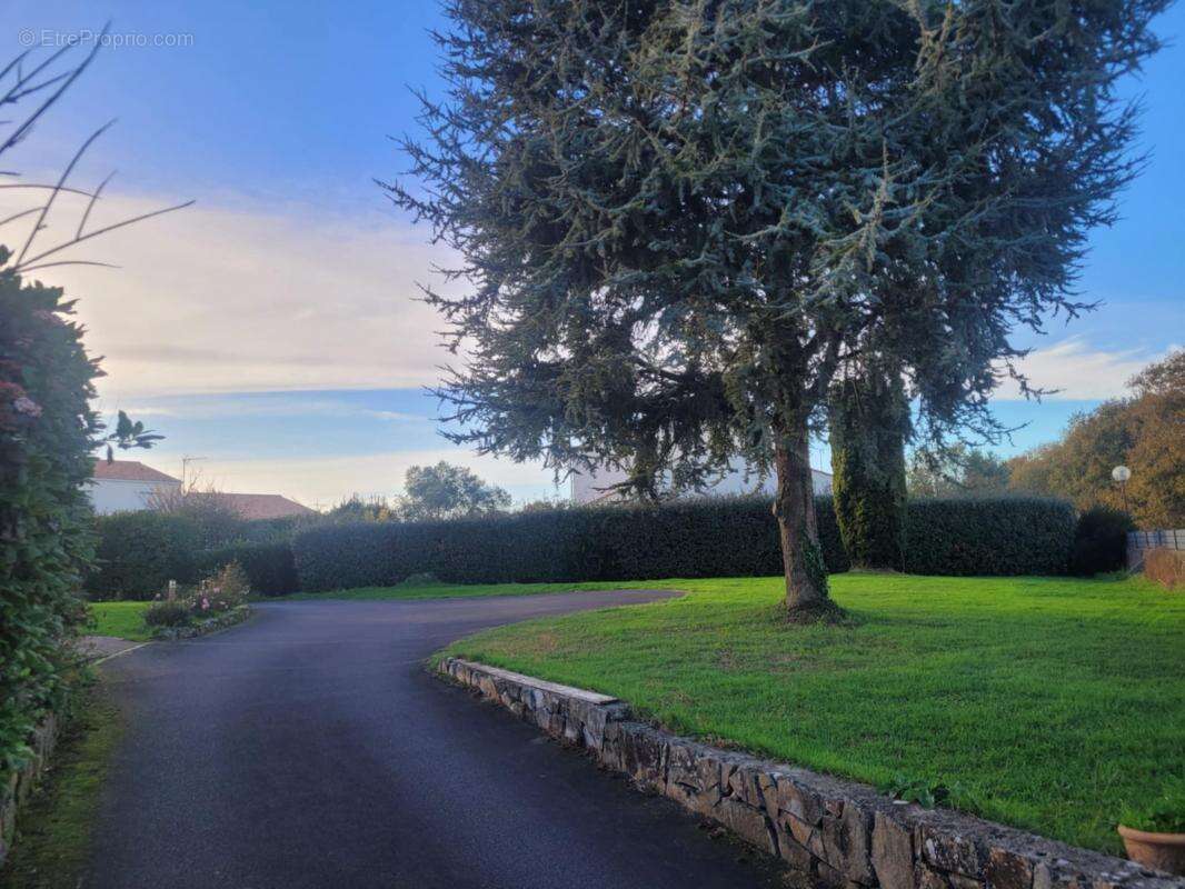 Terrain à LES SABLES-D&#039;OLONNE
