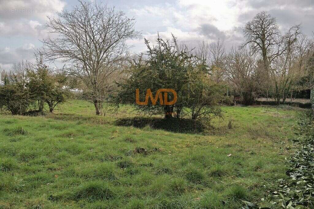 Terrain à bâtir de 4500 m² au Blanc (36300) – Prêt à construire - photo 4