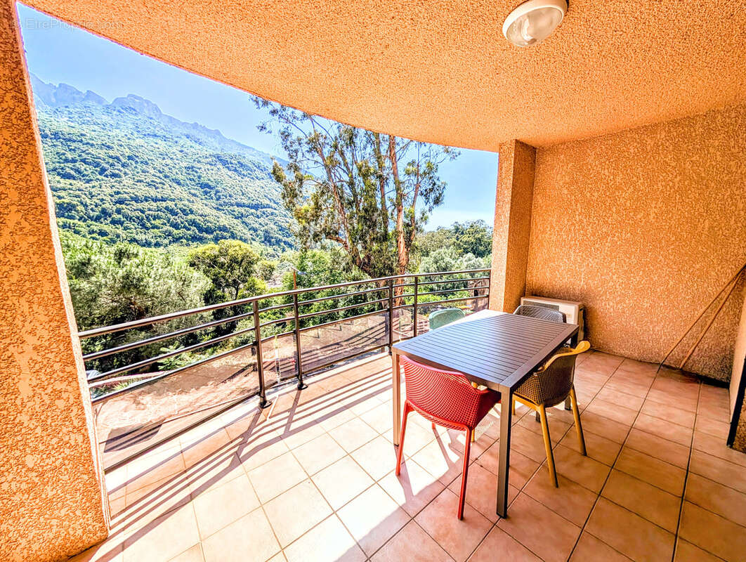 Vente : studio 400m plages (31m2) à porto - photo 4