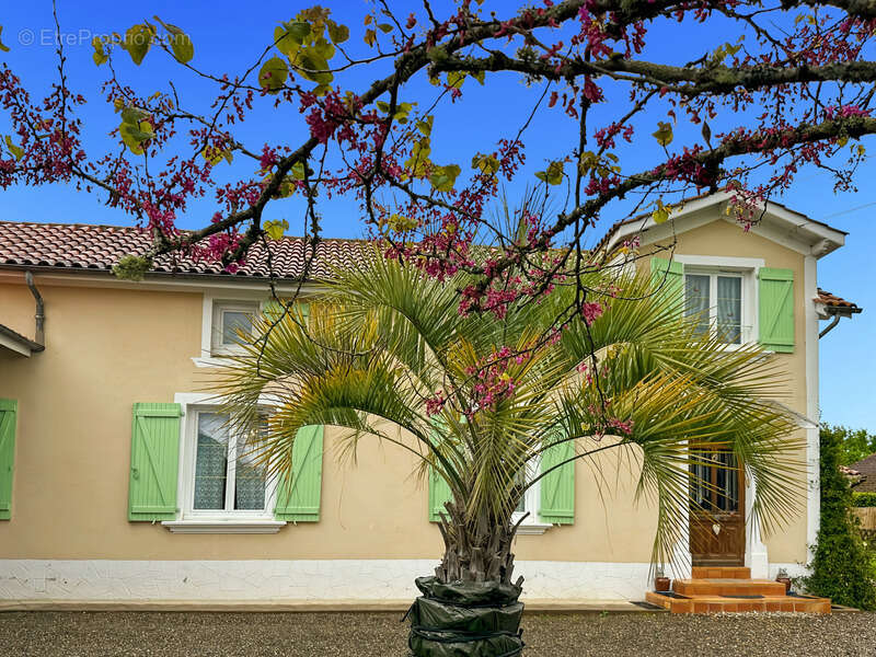 Maison à vendre de 155 m2 de surface habitable à LADEVEZE RIVIERE (32) avec 3330 m2 de jardin - photo 26