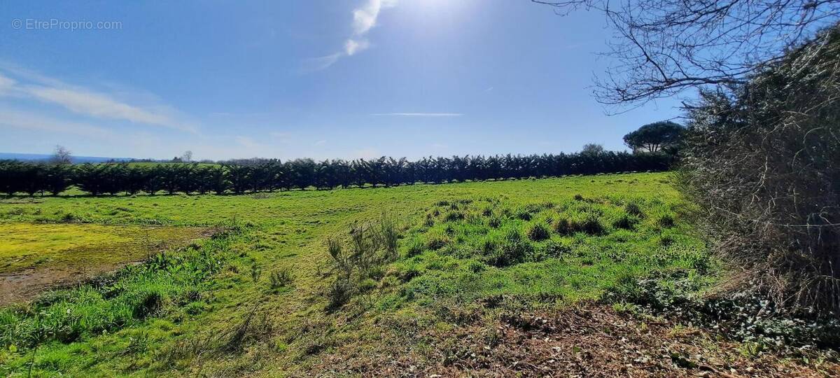Terrain à CHABRIGNAC