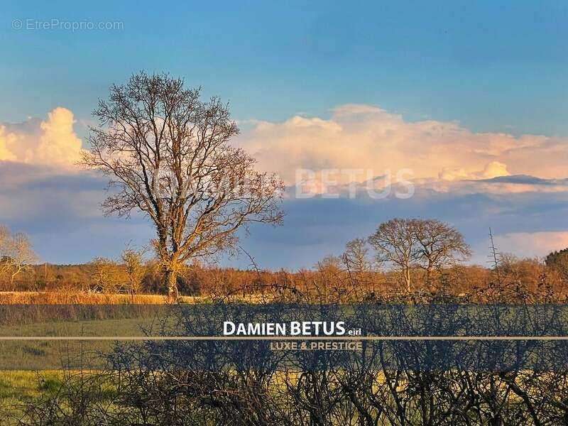 Maison à LE FENOUILLER