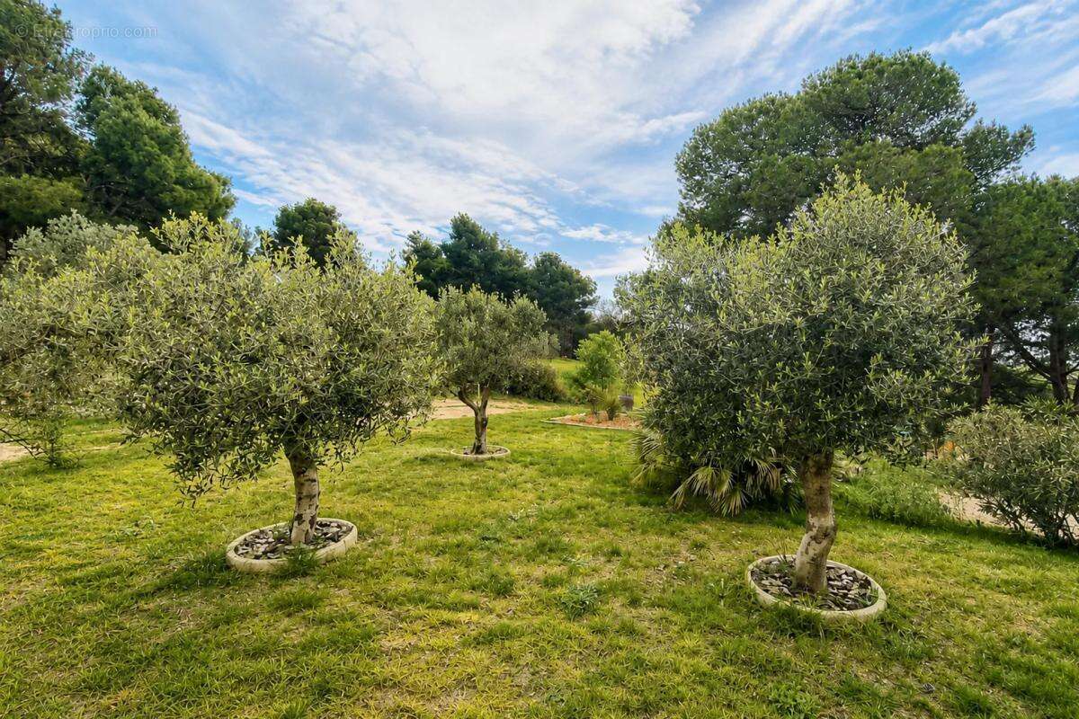 Armissan, propriété de 224 m2 dans un cadre naturel exceptionnel - photo 35