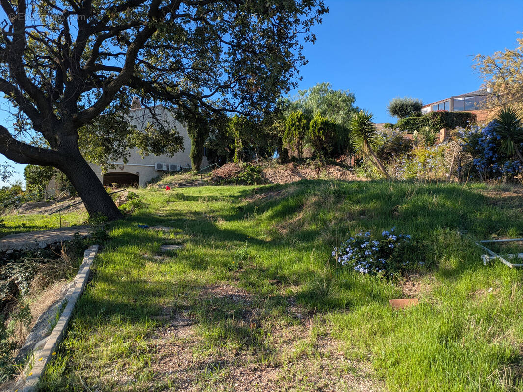 Terrain à OLLIOULES