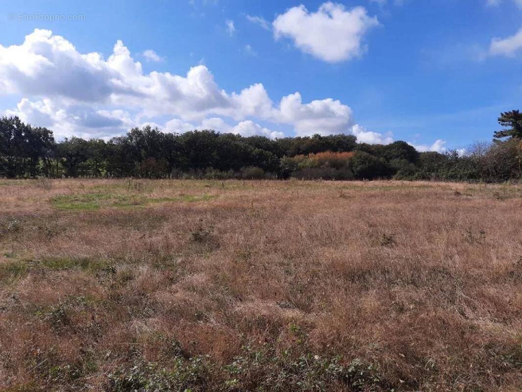 Terrain à AUBIET