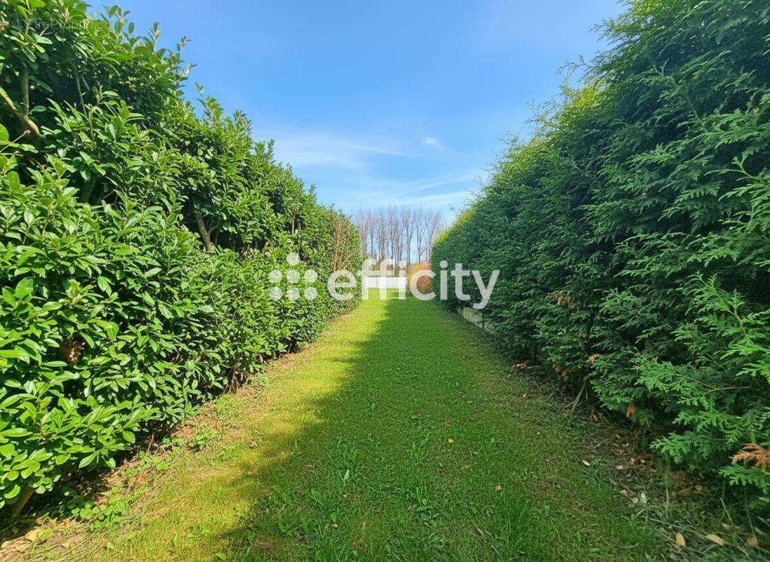 Terrain à VILLENEUVE-D&#039;ASCQ