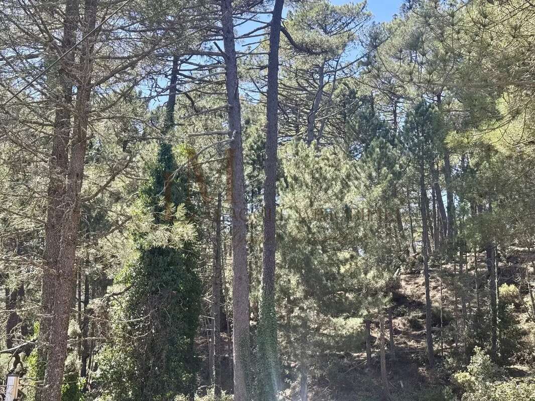 Maison à PORTO-VECCHIO