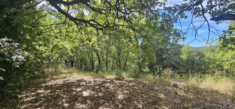 Terrain à construire de 2 800 m² – Vue dégagée, calme, plein sud - photo 4