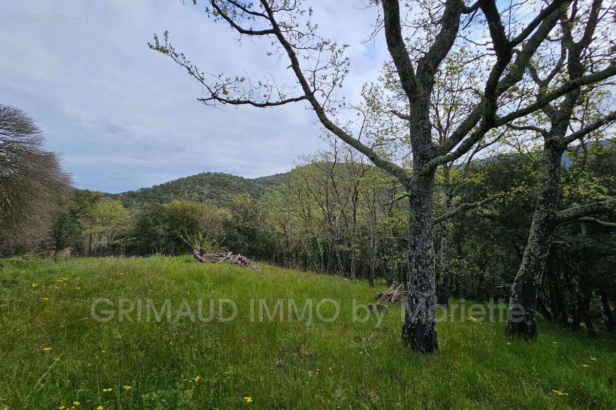 Maison à LA GARDE-FREINET