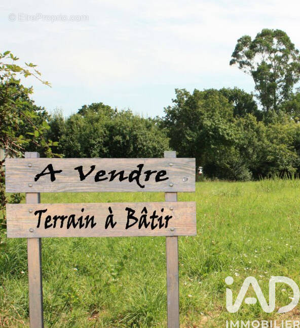 Photo 1 - Terrain à SAINT-CYR-DES-GATS