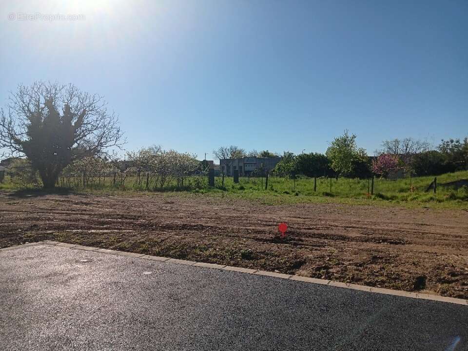 Terrain 418 m² à Blagnac  - photo 2