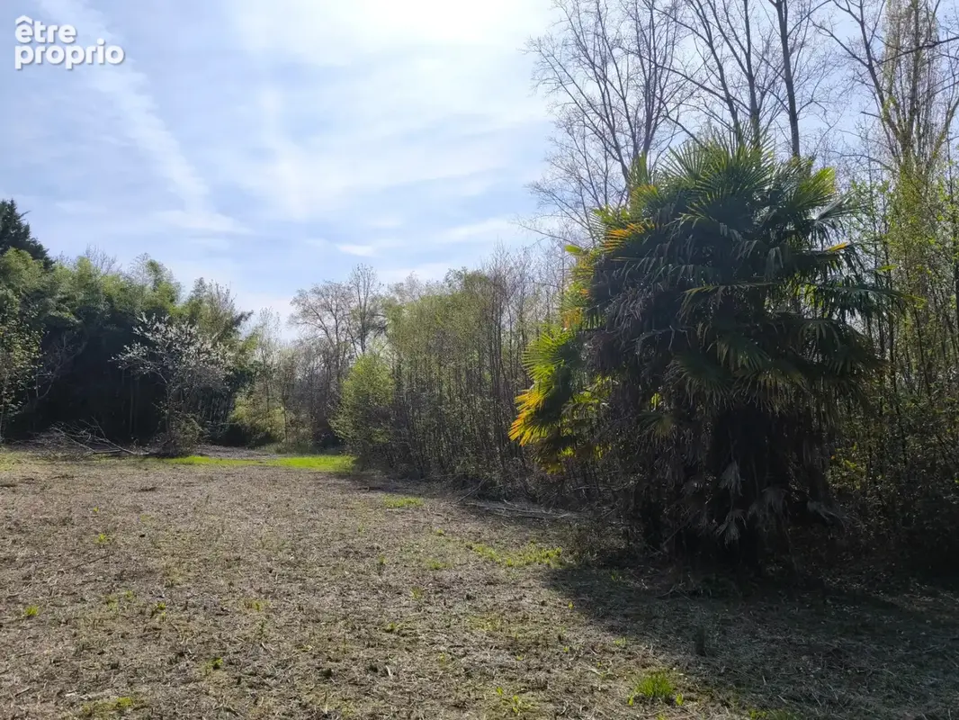 Terrain non constructible bordure Charente à vendre  VARS (16) - photo 6