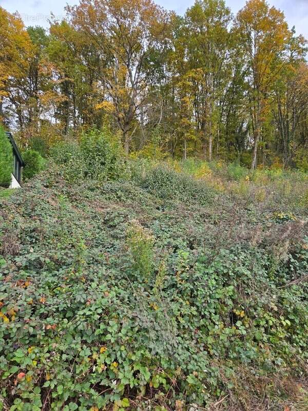 Terrain à NIEDERHASLACH