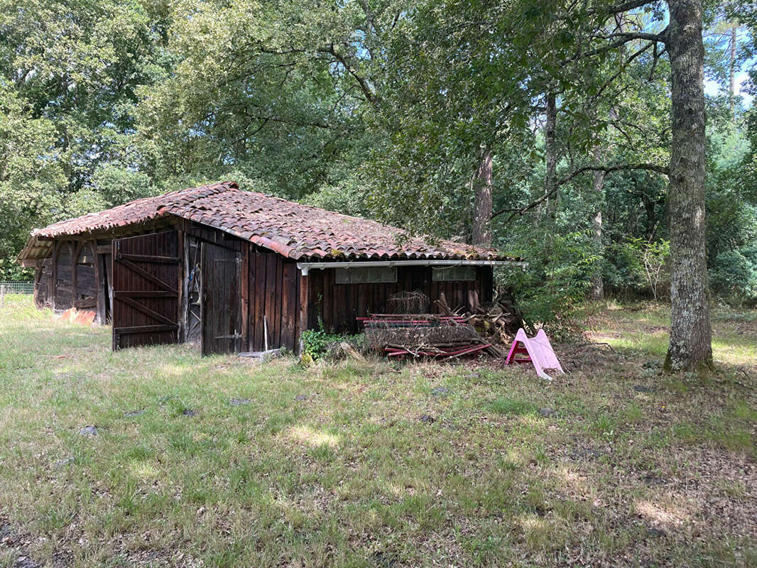 Traditionnelle landaise - photo 11