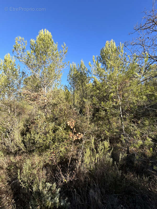 Terrain à LE VAL
