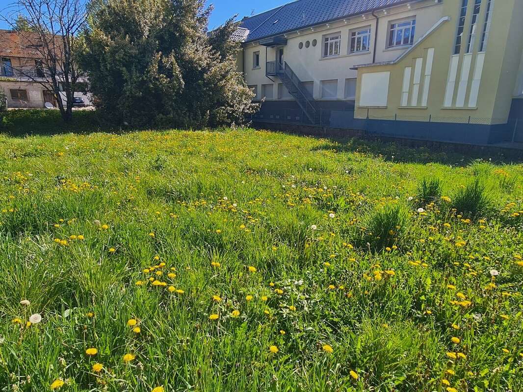 Terrain à FRONTENEX