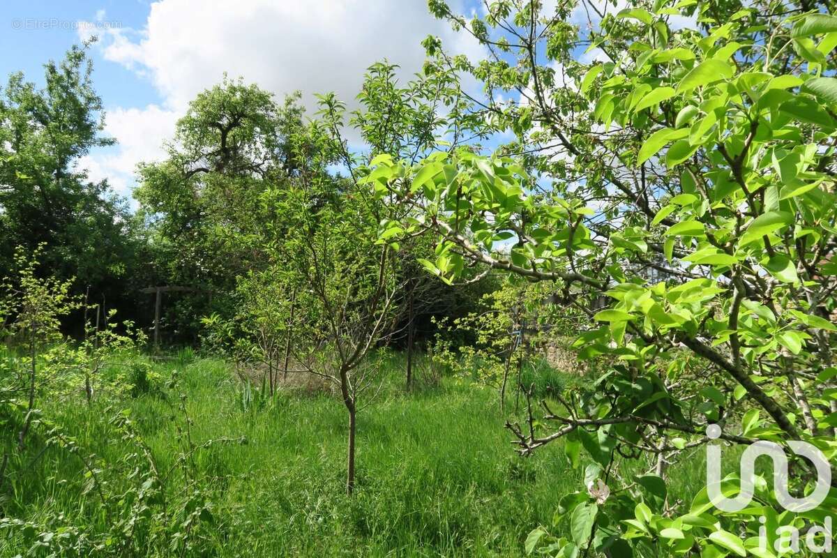 Photo 6 - Maison à SAINT-GERMAIN