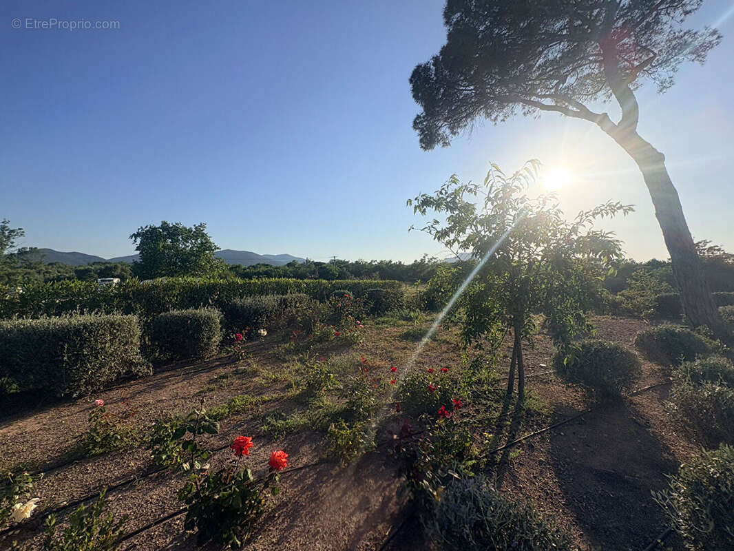 Appartement à PUGET-SUR-ARGENS