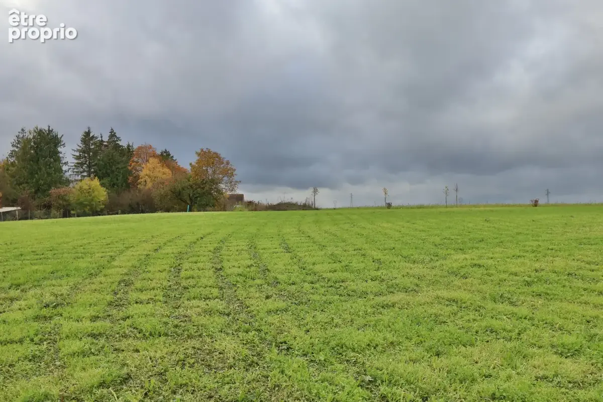 Terrain à ONJON