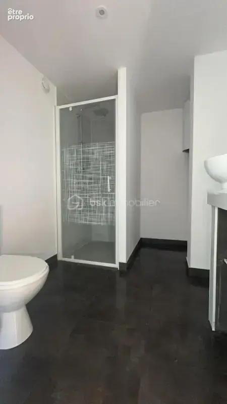 Ensemble immobilier avec habitation - Idéal activité mixte habitation et professionnelle avec appartement indépendant et hangar  - photo 10
