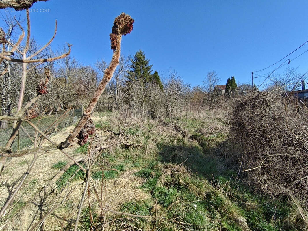 Maison à VANNES-LE-CHATEL
