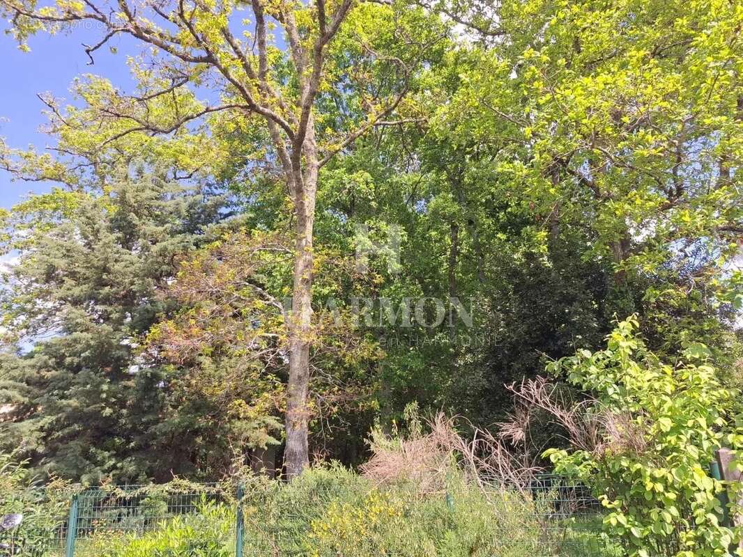 Terrain à GUJAN-MESTRAS