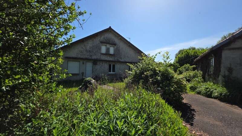 Maison 200 m² à Mauriac  - photo 3