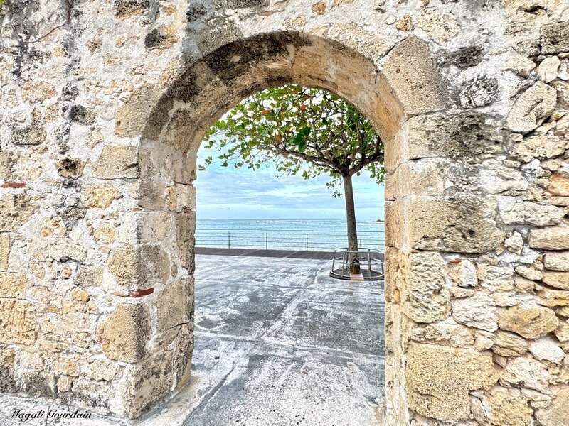 Commerce à LE MOULE