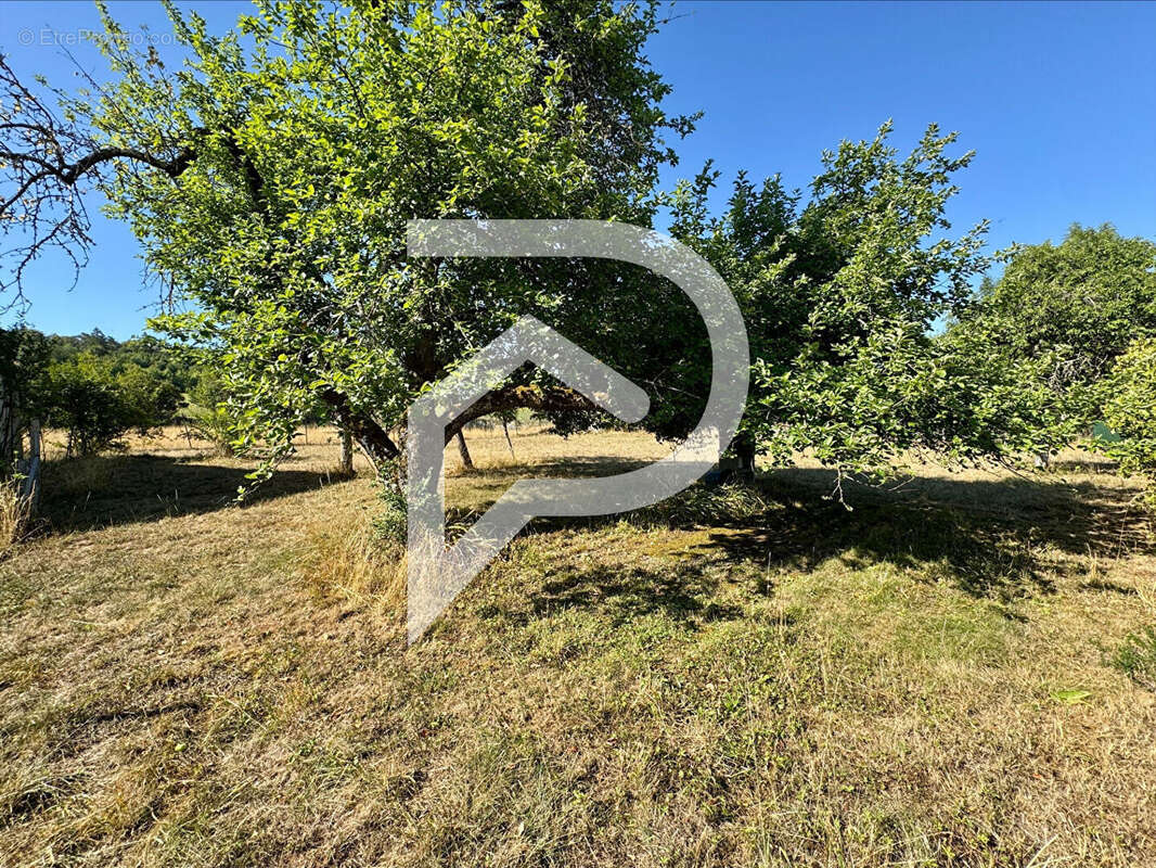 Maison Auberive  3 pièce(s) - photo 8