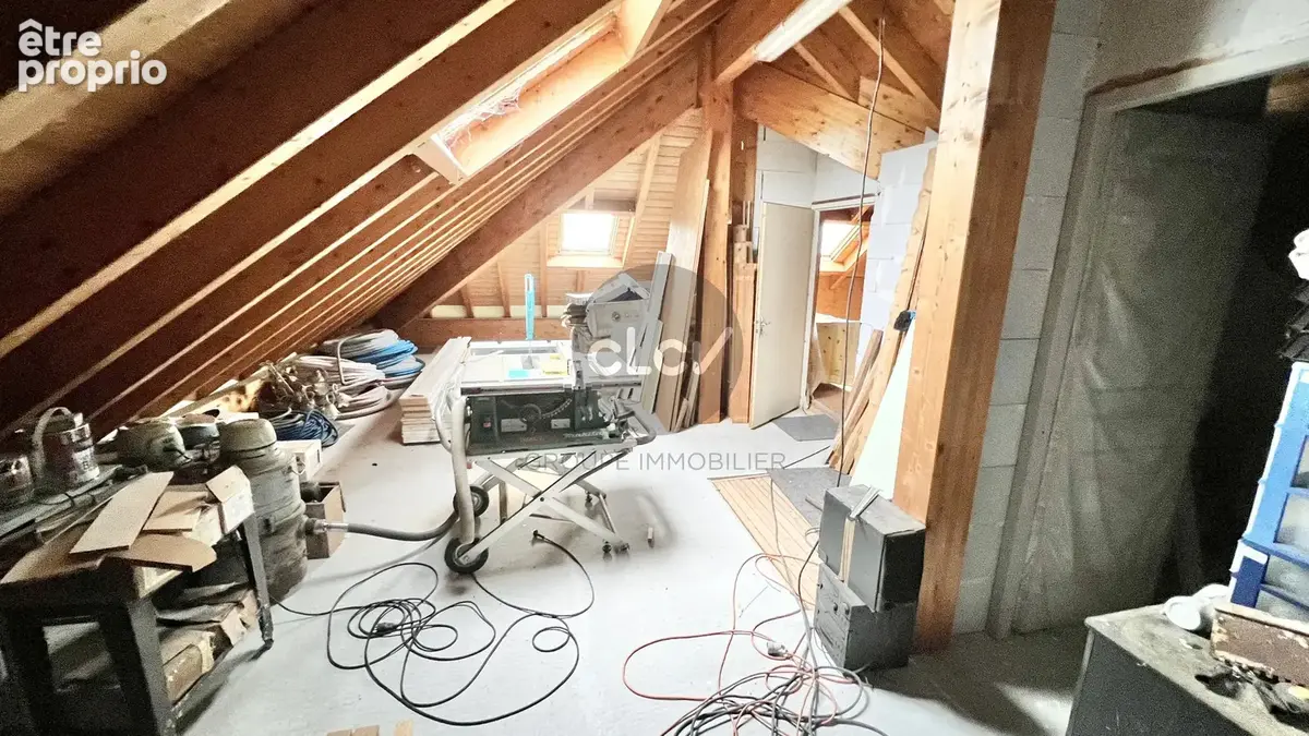 ENTRELACS - Maison de 600m² sur 3 niveaux - photo 9
