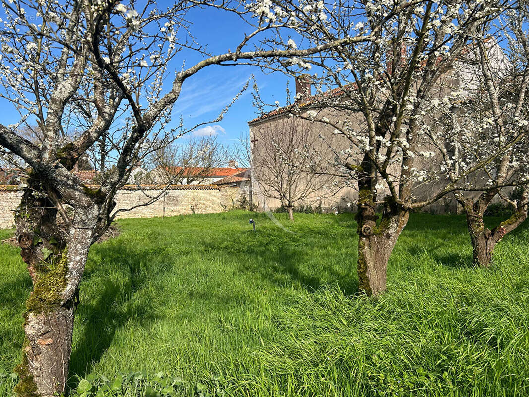 Maison à LE LANGON
