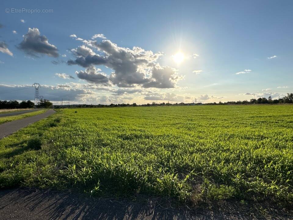 Terrain à BEAUMONT-LA-RONCE