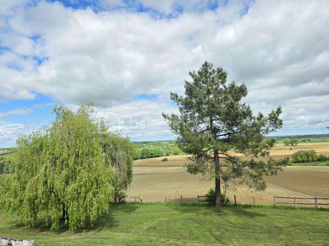 Maison a renover montagnac sur auvignon - photo 12