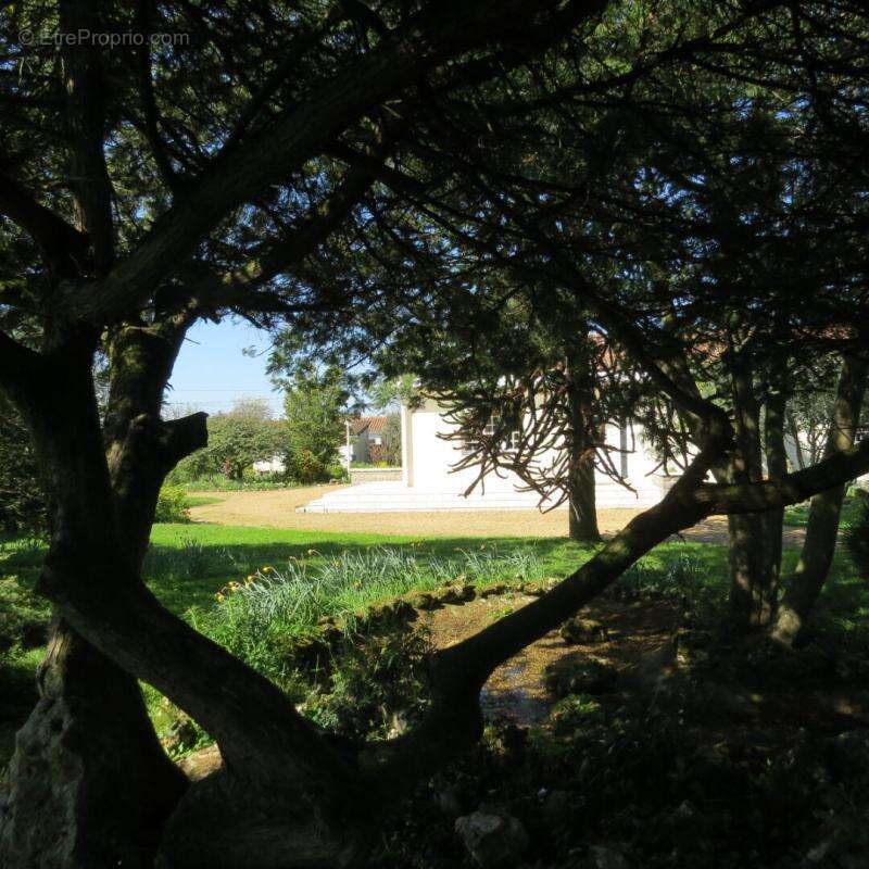 Maison à FONTENAY-LE-COMTE