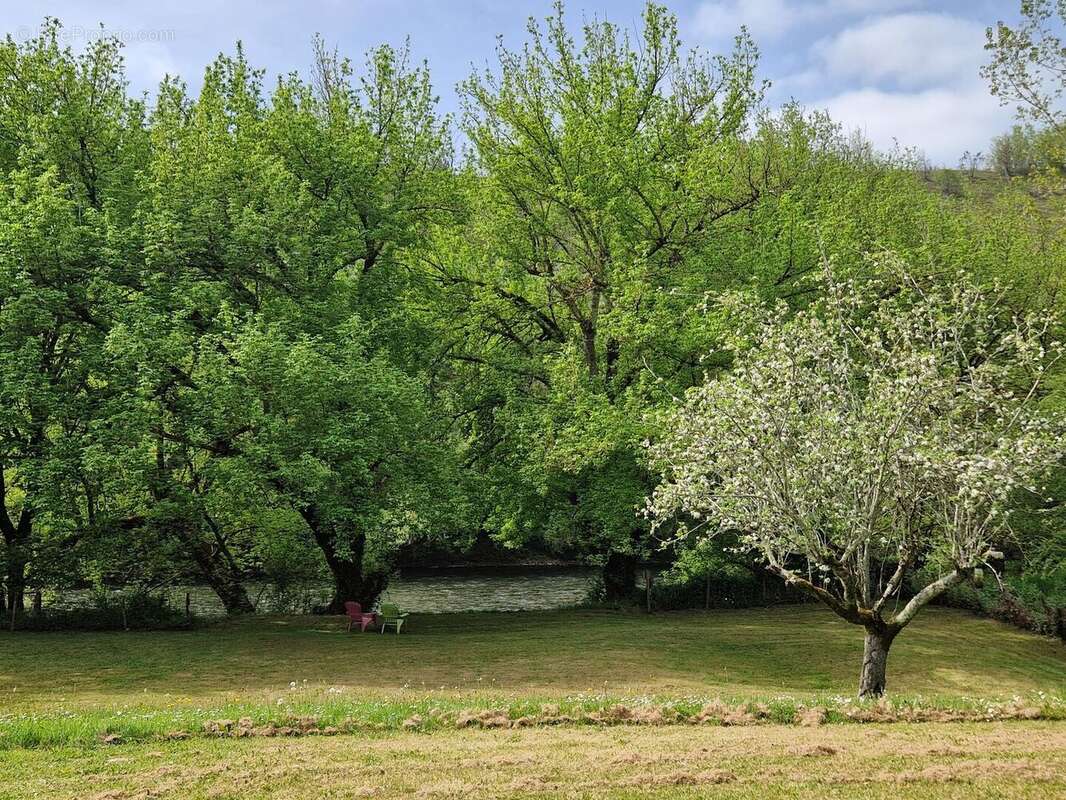 Propriété avec Maison d'habitation, Maison d'amis, Studio, Piscine, parc et jardin 7418m2 jusqu'à la rivière. - photo 16