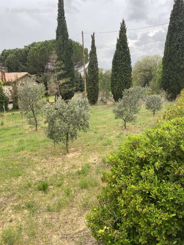 Terrain à CADENET