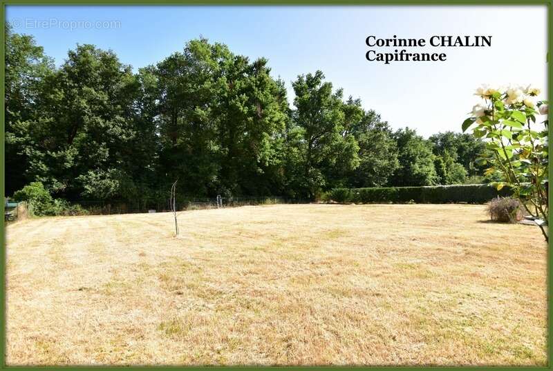 Maison à vendre 5 pièces 108.50 m2 Plain-pied GOUISE (03) - photo 13