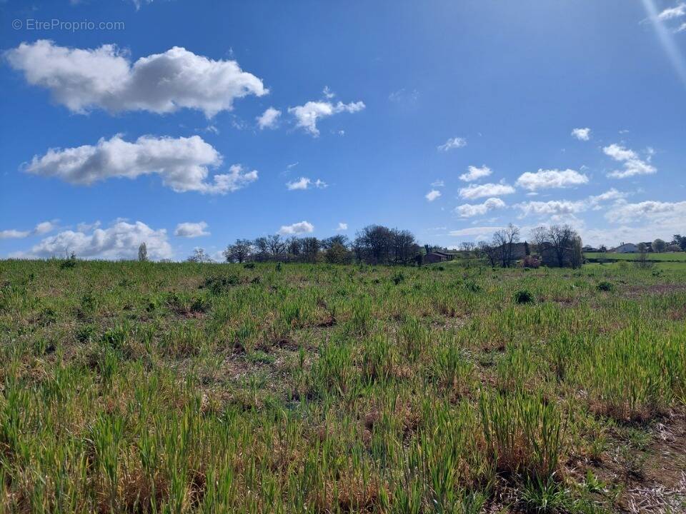 Terrain à VERFEIL