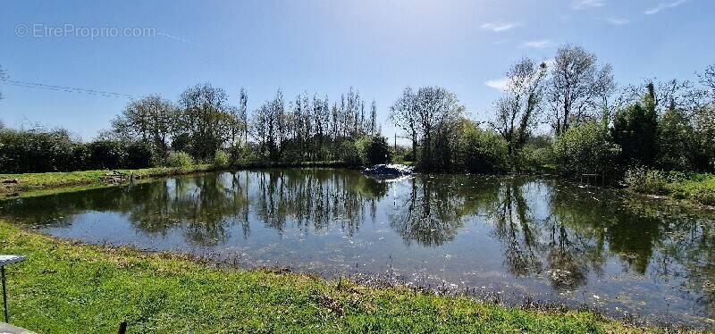 Terrain à LA CHAPELLE-GLAIN