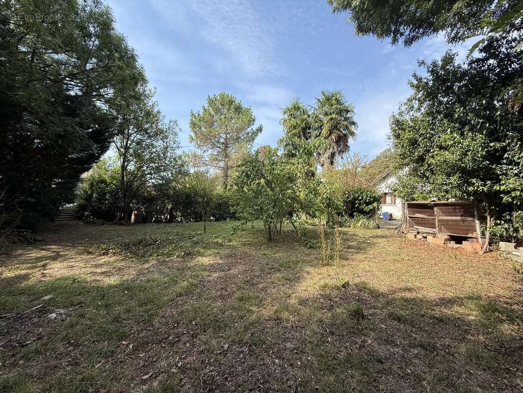 Maison à CAUPENNE-D&#039;ARMAGNAC