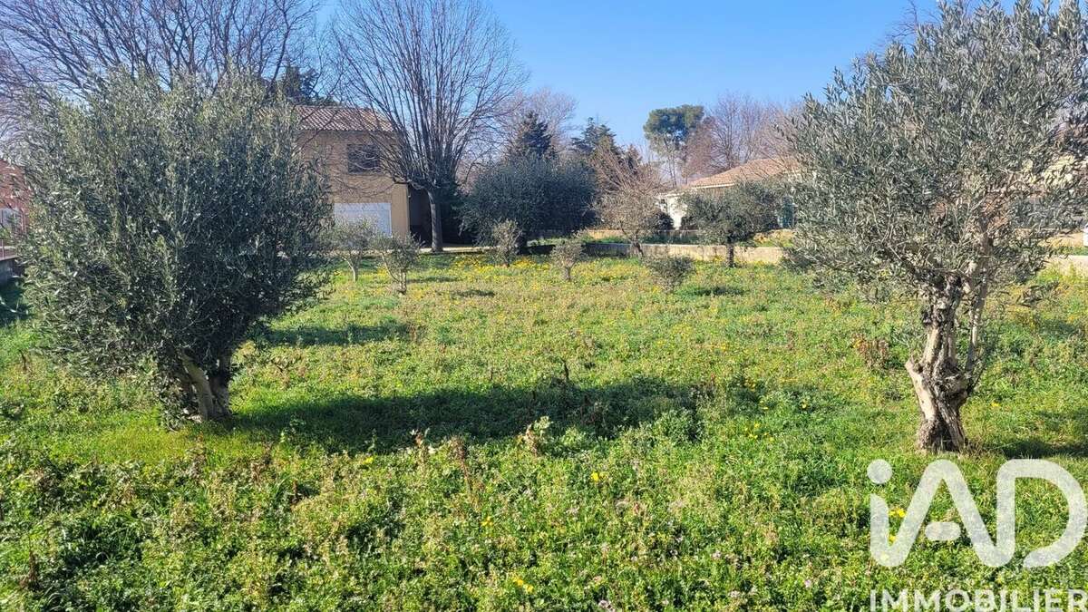 Photo 4 - Terrain à MORIERES-LES-AVIGNON