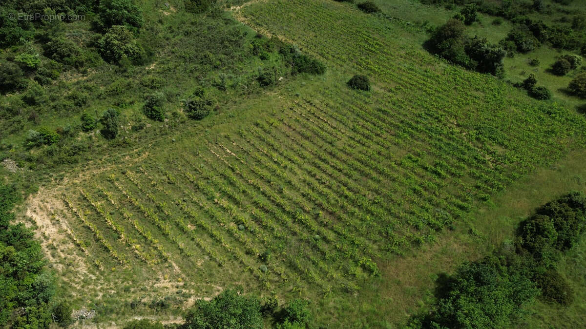 Terrain à PUECHABON