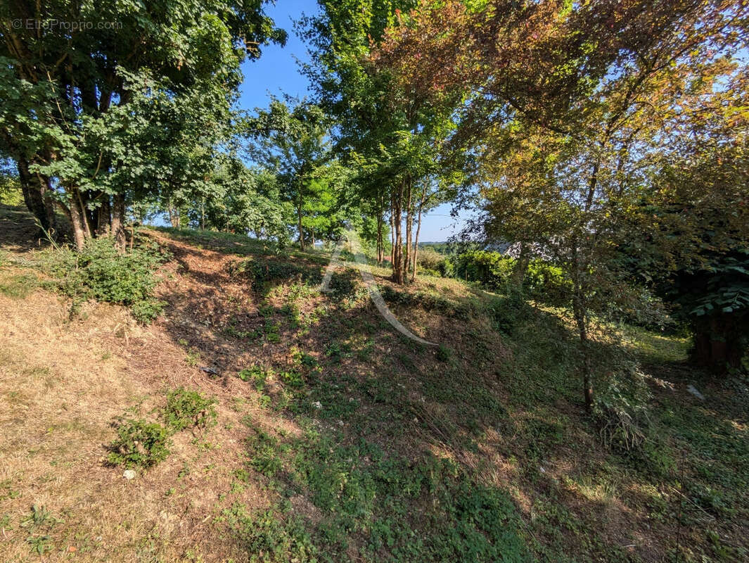 Terrain à ONZAIN